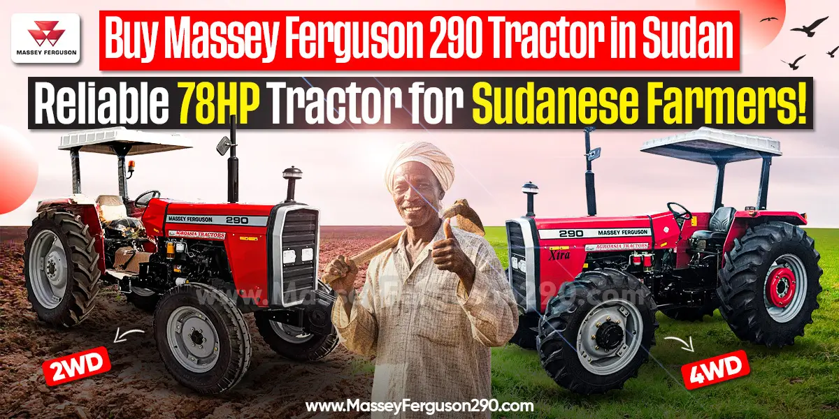 mf 290 for sale in sudan