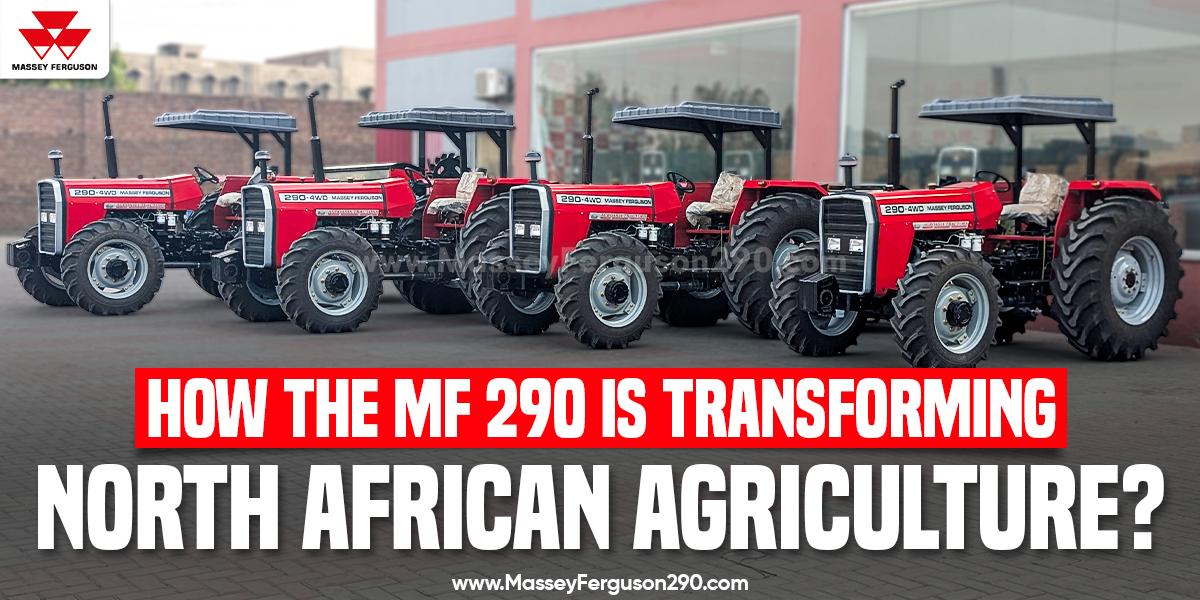 MF 290